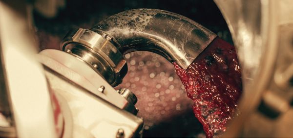 L'assemblage du vin