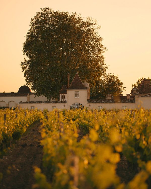 View from the vineyards of Rauzan-Ségla